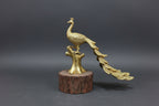 Elegant brass peacock